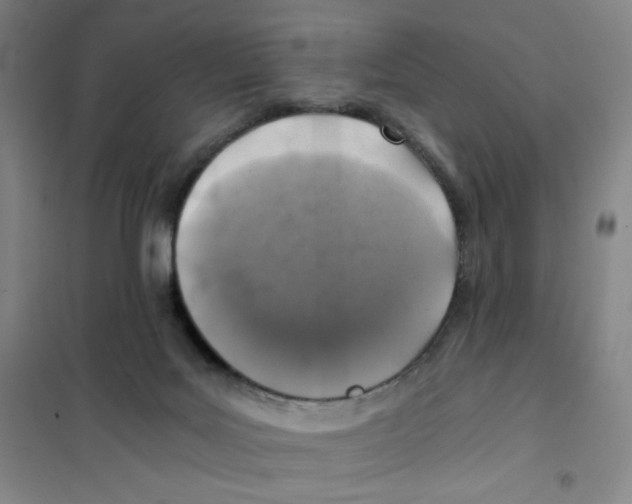 X0000101110027200807241146