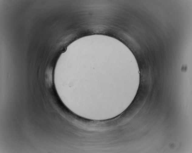 X0000101110028200807241146