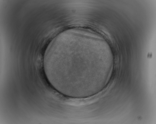 X0000101110029200807241146