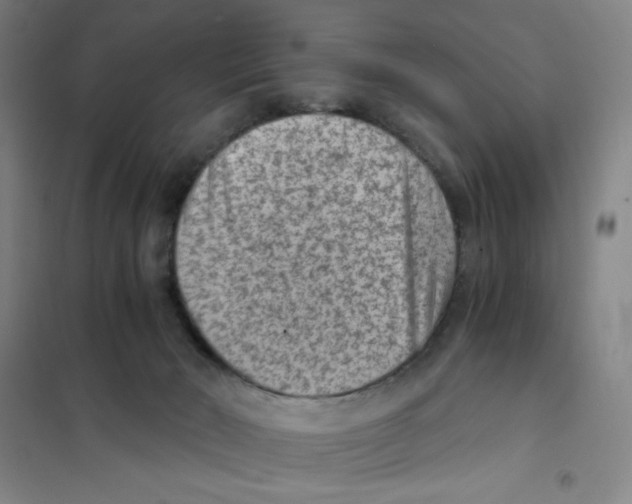X0000101110030200807241146
