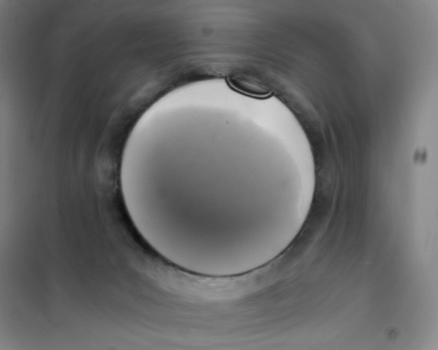 X0000101110031200807241146