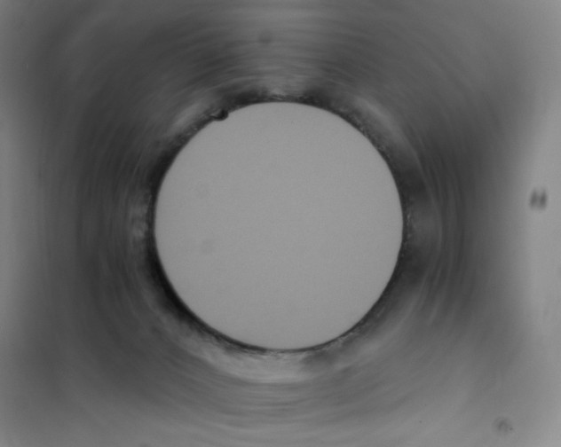 X0000101110032200807241146