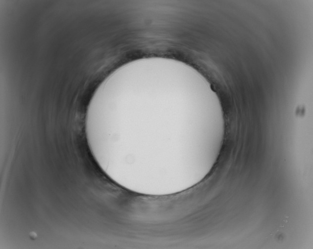 X0000101110033200807241146
