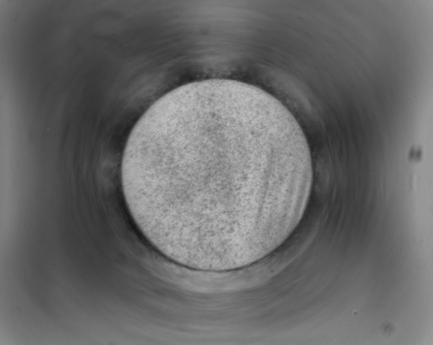 X0000101110034200807241146