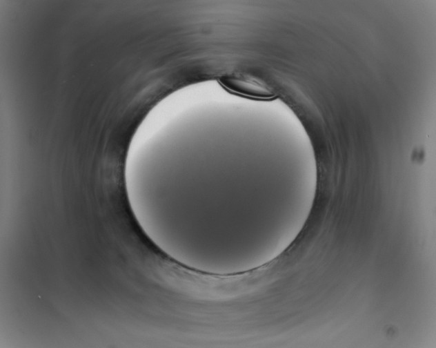 X0000101110035200807241146