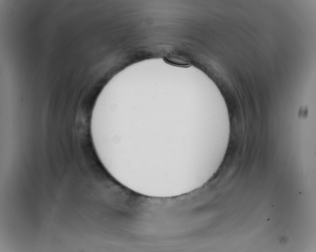 X0000101110037200807241146