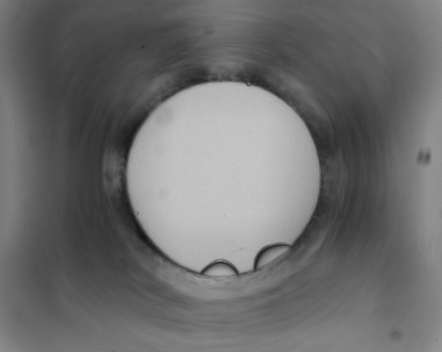 X0000101110038200807241146