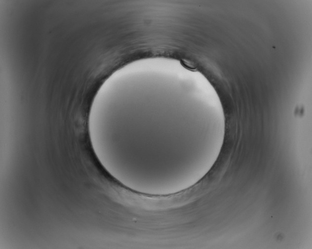 X0000101110039200807241146