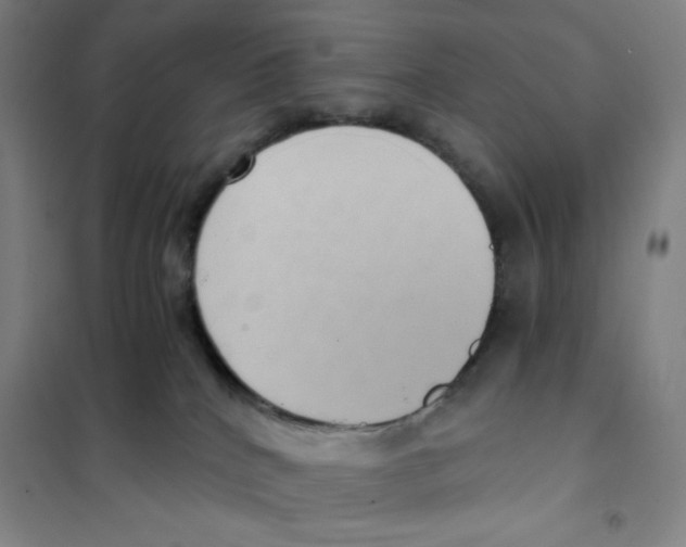 X0000101110040200807241146