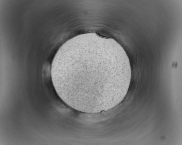 X0000101110041200807241146