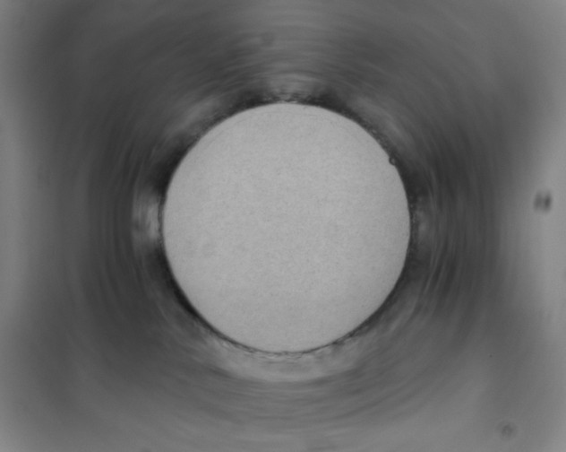 X0000101110042200807241146