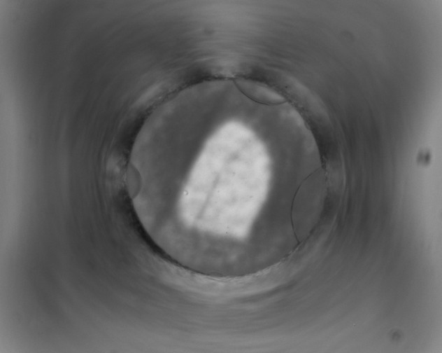 X0000101110043200807241146