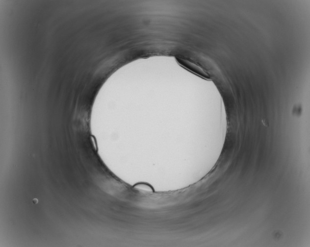 X0000101110045200807241146