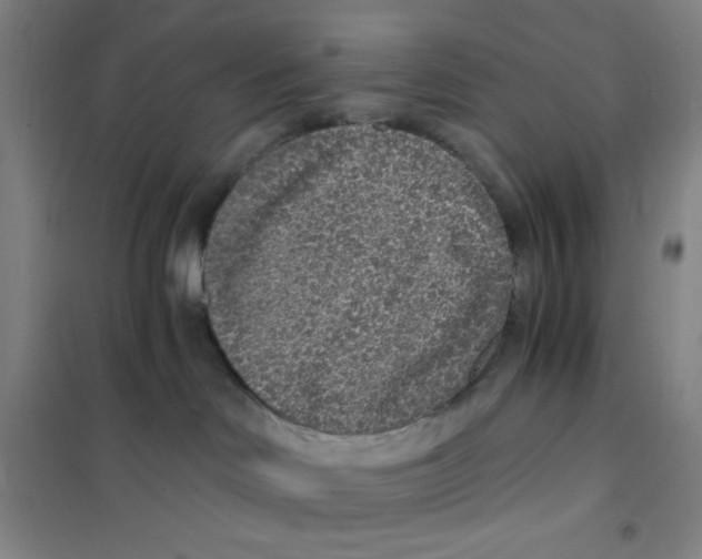 X0000101110046200807241146