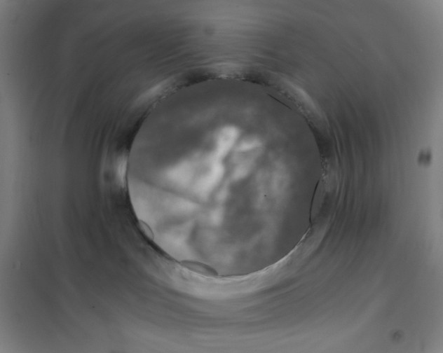 X0000101110047200807241146