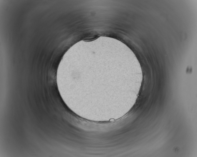 X0000101110048200807241146