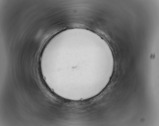 X0000101110049200807241145