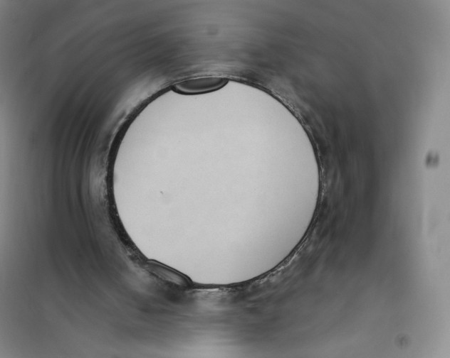X0000101110050200807241145