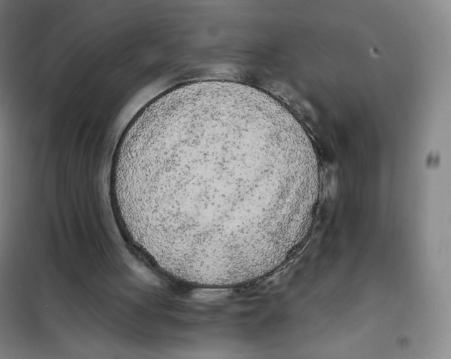 X0000101110051200807241145