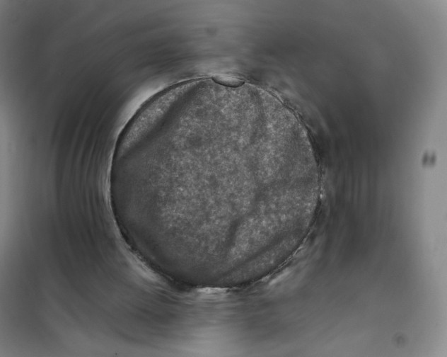 X0000101110052200807241145