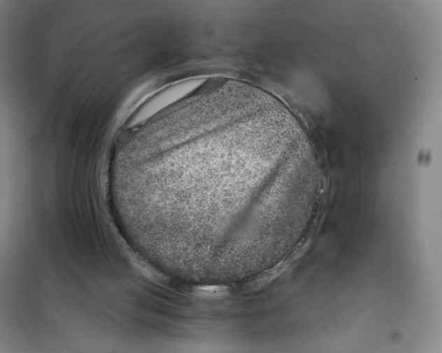 X0000101110053200807241145