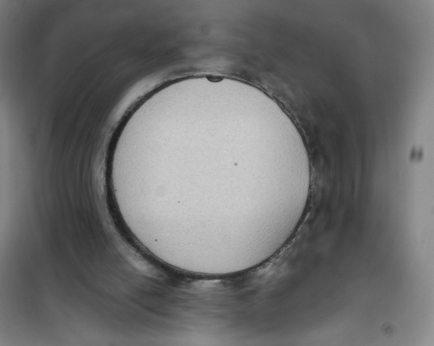X0000101110054200807241145