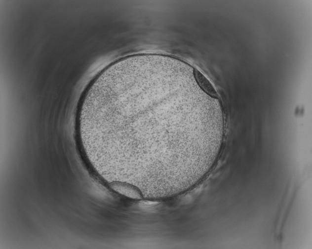 X0000101110055200807241145