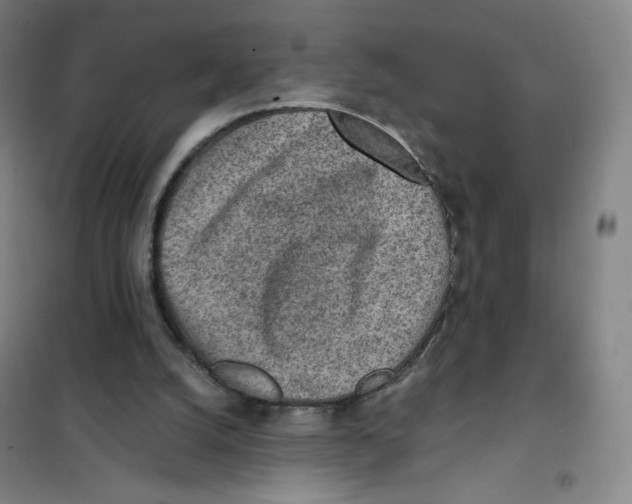 X0000101110056200807241145