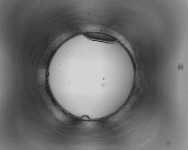 X0000101110057200807241145