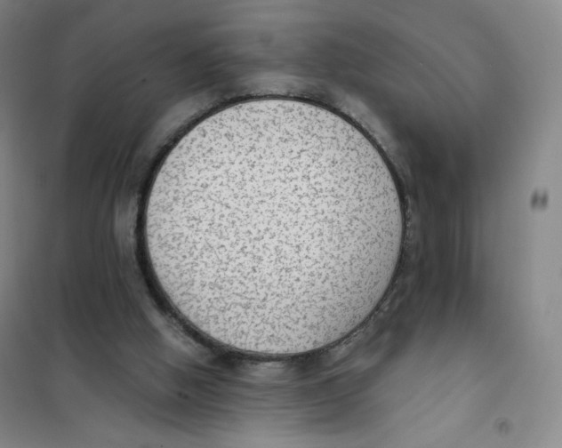 X0000101110058200807241145