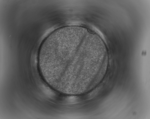 X0000101110059200807241145