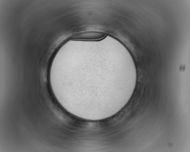 X0000101110060200807241145