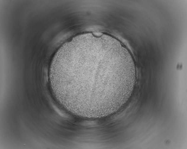 X0000101110061200807241145