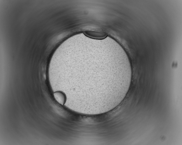 X0000101110062200807241145