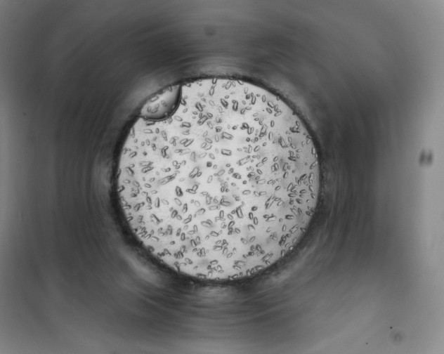 X0000101110063200807241145