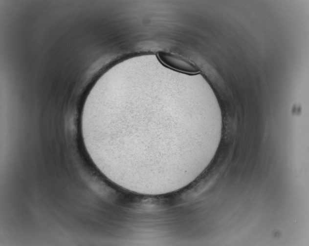 X0000101110064200807241145