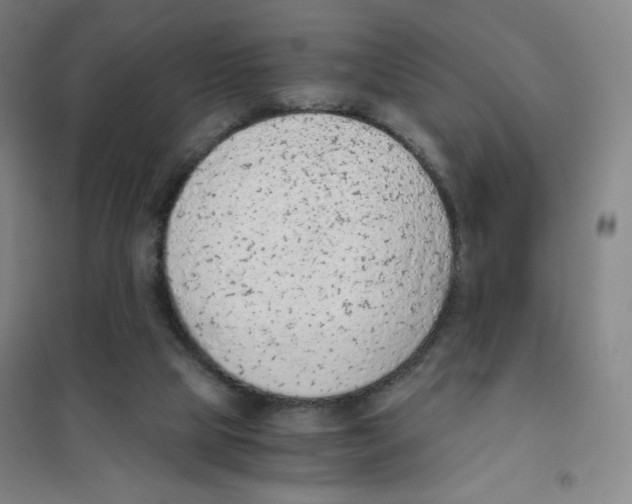 X0000101110065200807241145