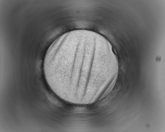 X0000101110066200807241145