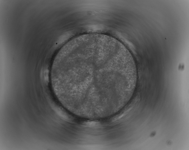 X0000101110067200807241145