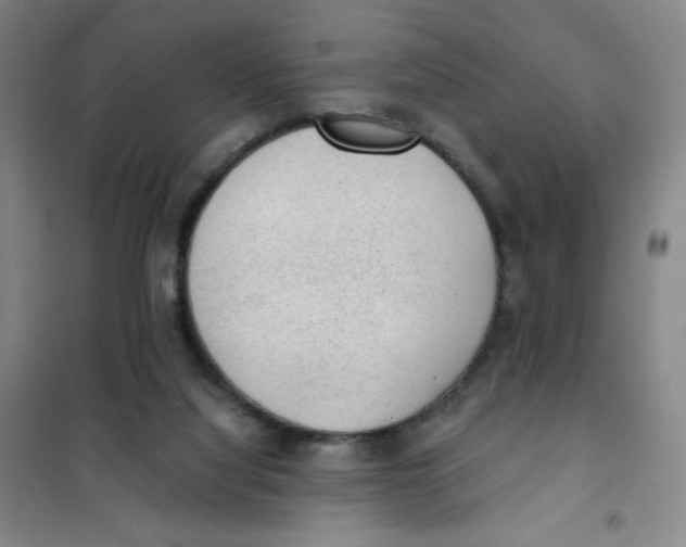 X0000101110068200807241145
