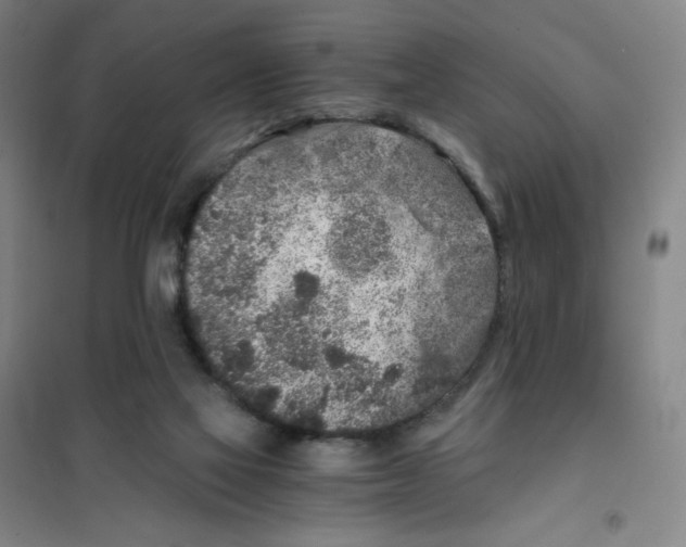 X0000101110069200807241145