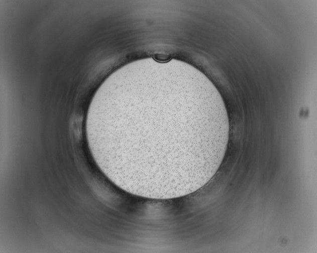 X0000101110070200807241145