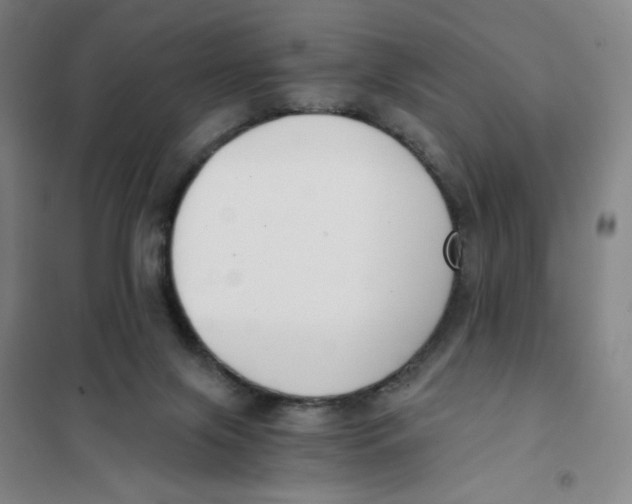 X0000101110071200807241145