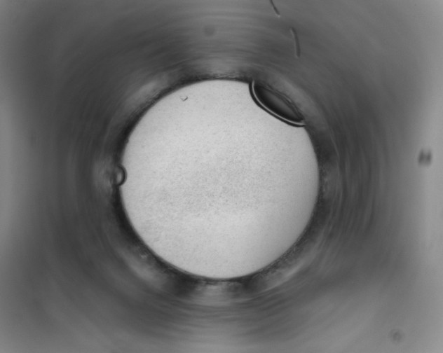 X0000101110072200807241145