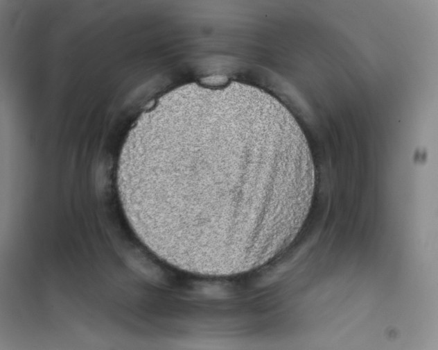 X0000101110073200807241145