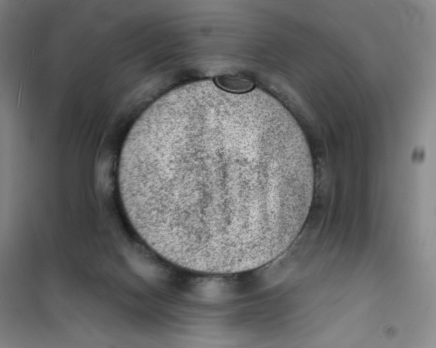 X0000101110074200807241145