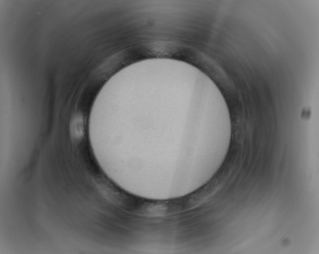 X0000101110075200807241145