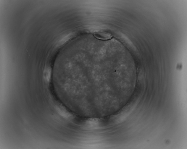 X0000101110076200807241145