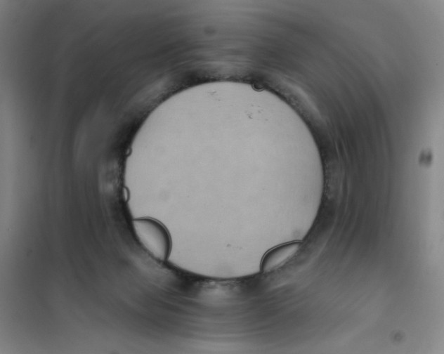 X0000101110077200807241145