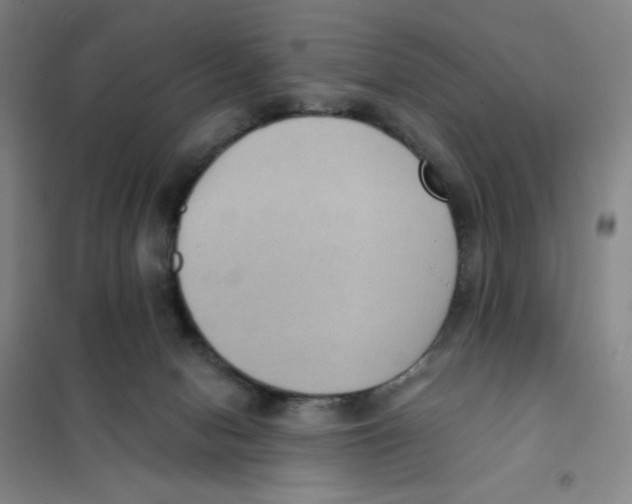 X0000101110078200807241145